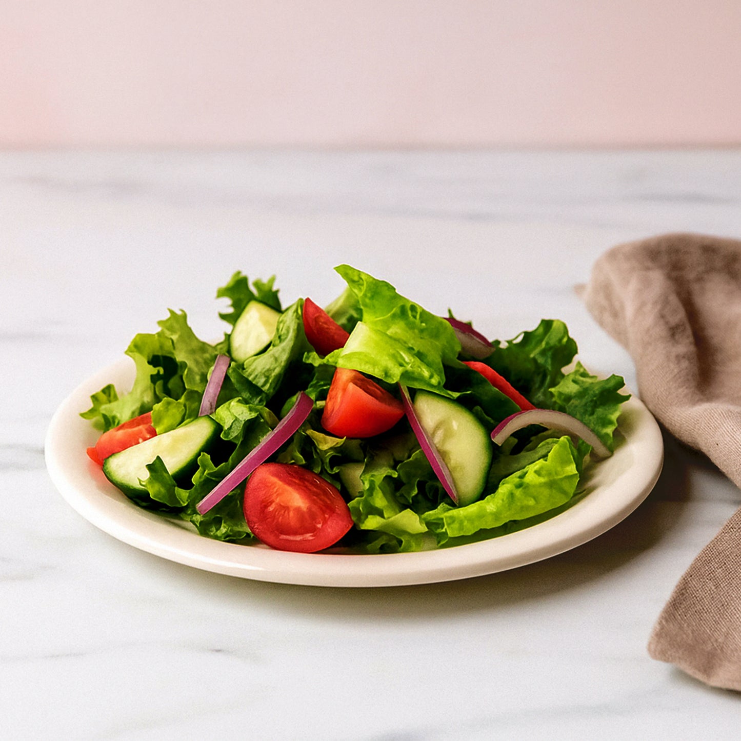 plastic dinner plate 19 cm white