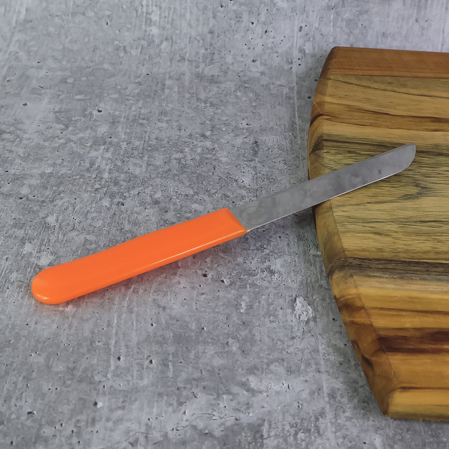 stainless steel plain knife with plastic handle pack of 1