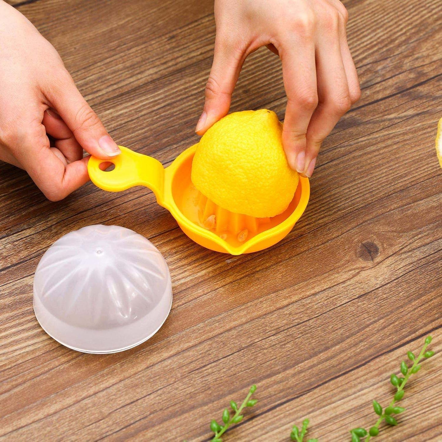 hand-operated citrus juicer compact design