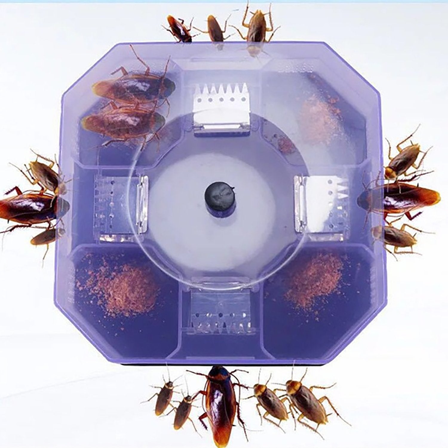 cockroach trap box 14 cm x 14 cm x 5 cm pvc material