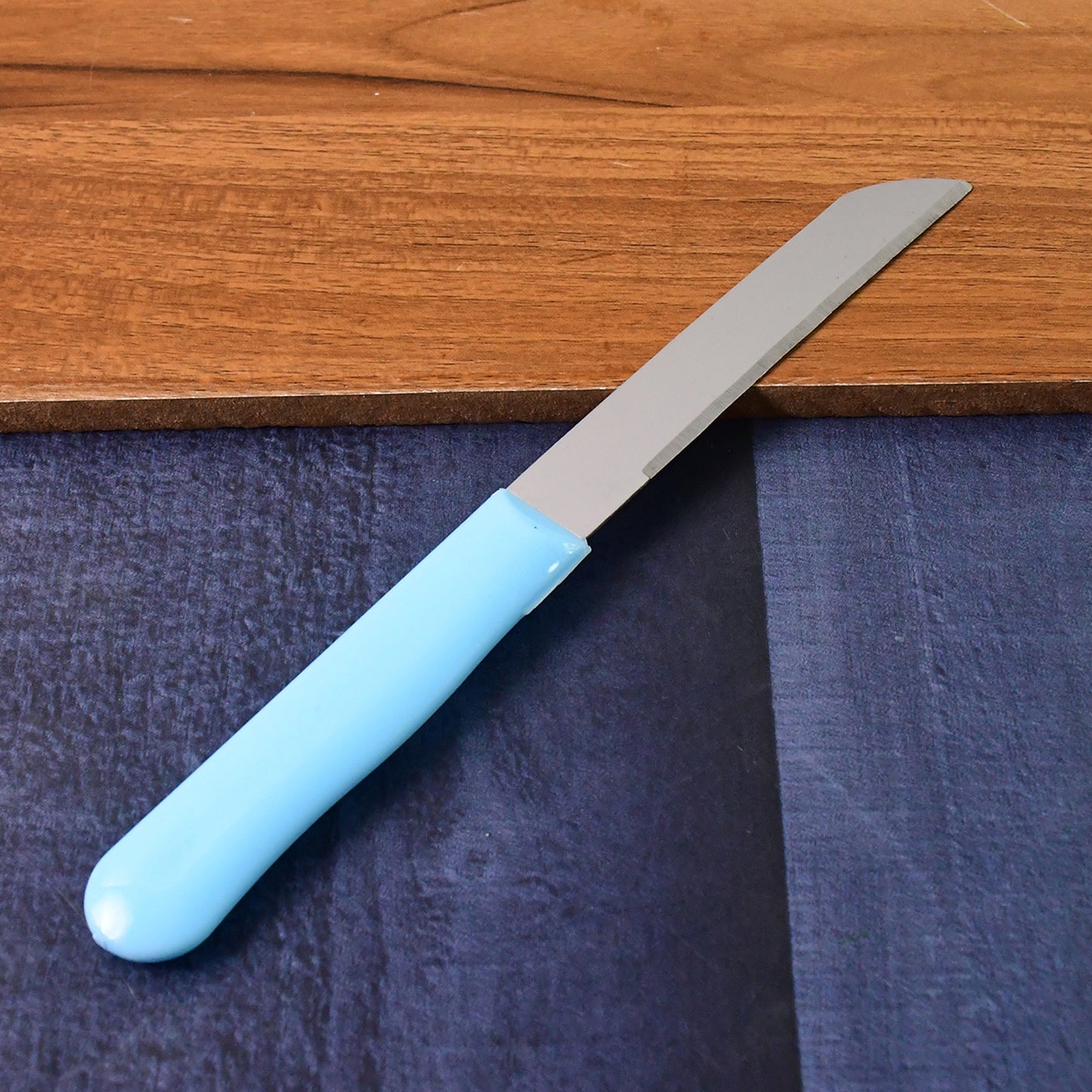 stainless steel plain knife set pack of 10 with plastic handles