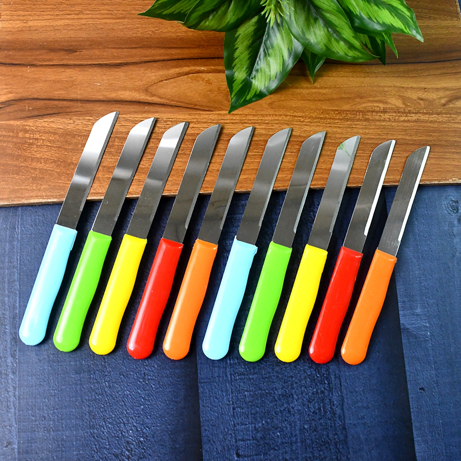 stainless steel plain knife set pack of 10 with plastic handles