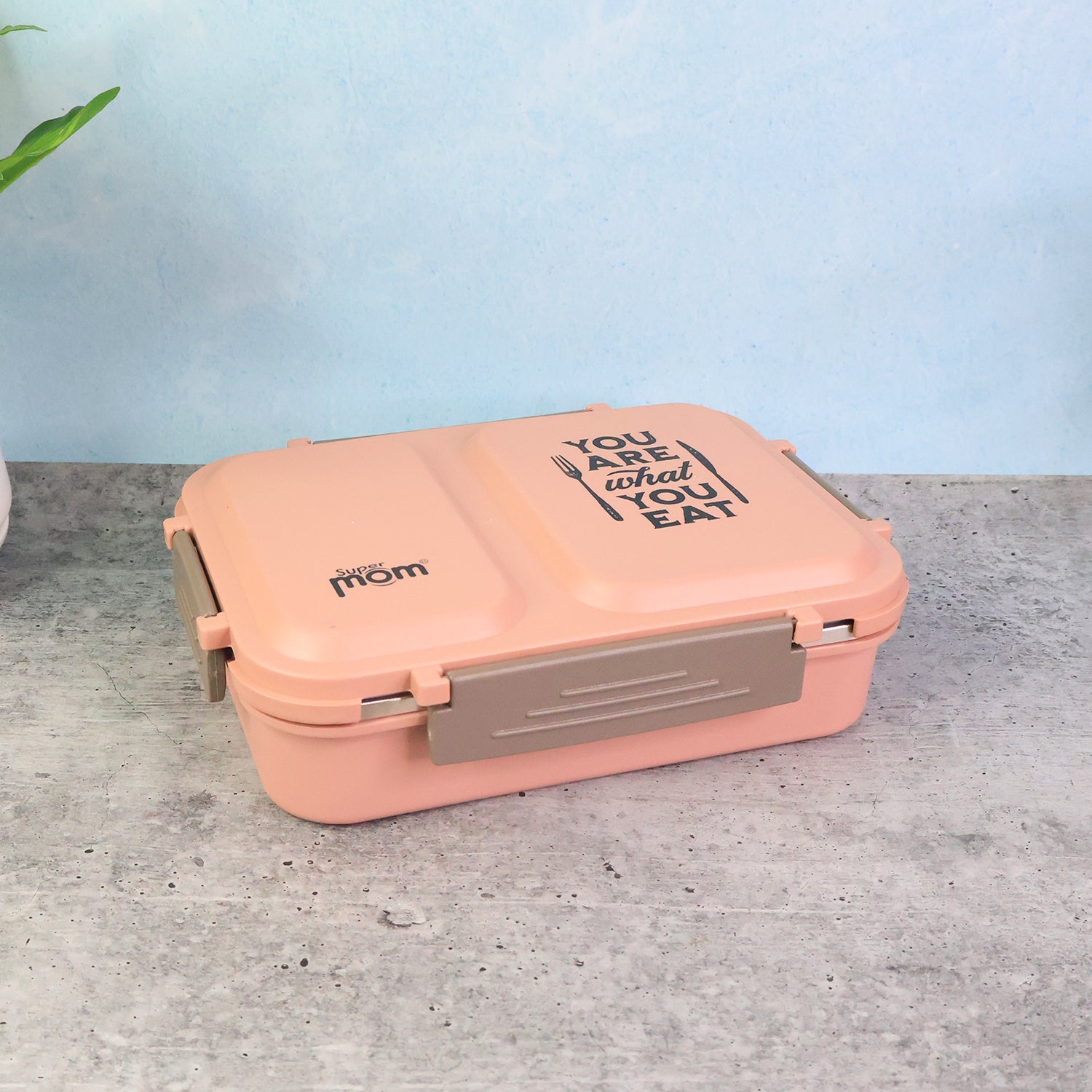 2 partition stainless steel lunch box with leak-proof lid