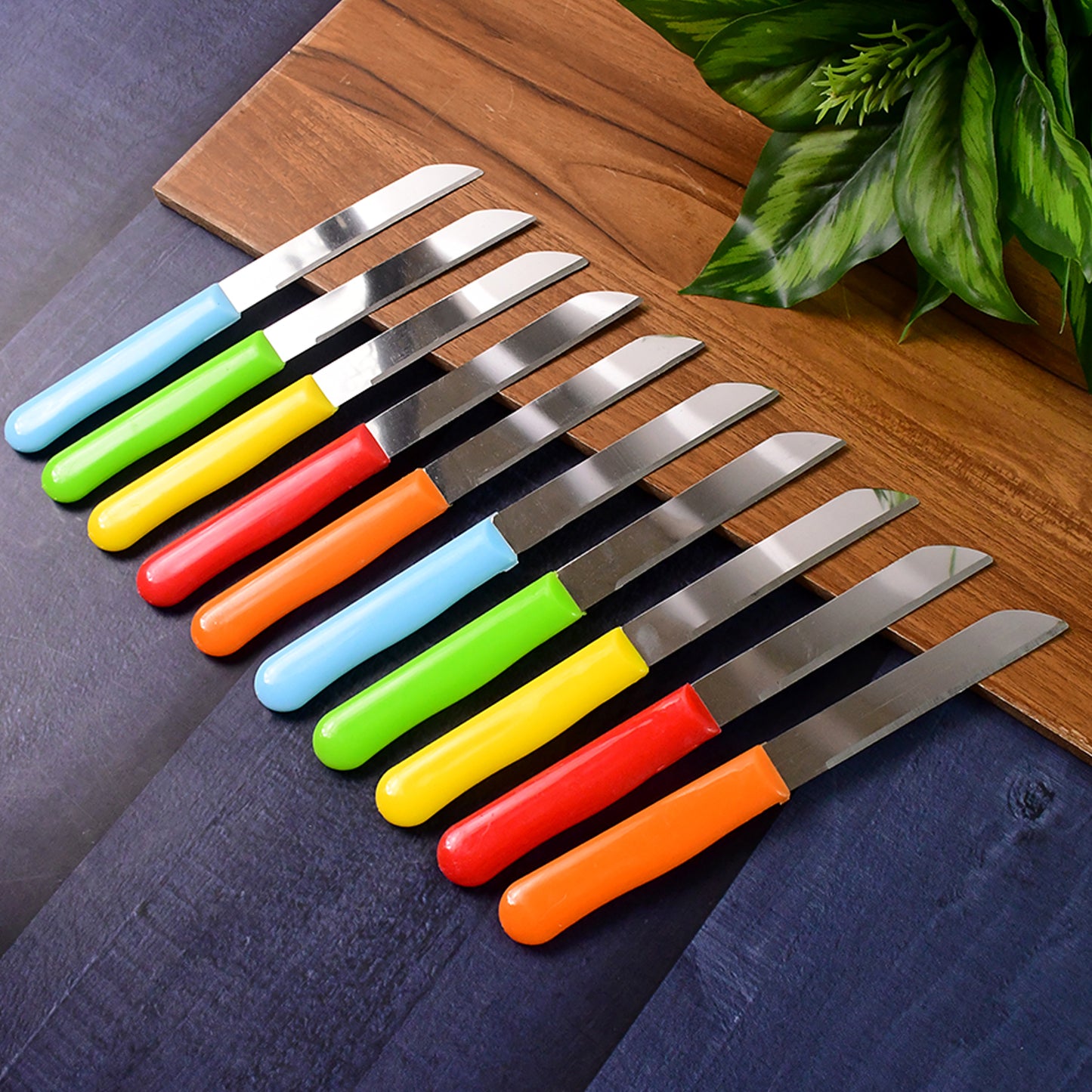stainless steel plain knife set pack of 10 with plastic handles