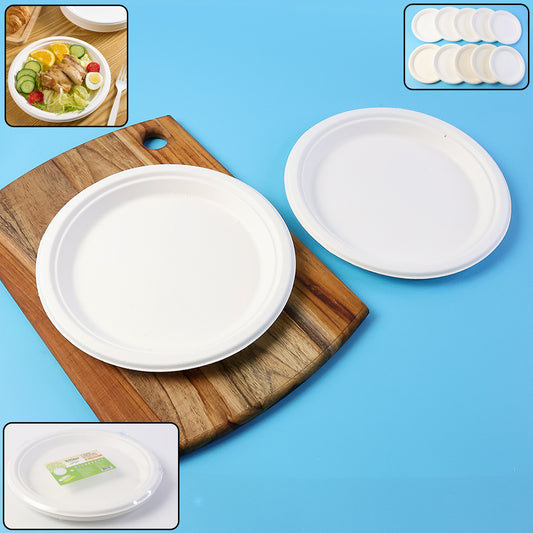 compostable bagasse plate 9 inch diameter pack of 10