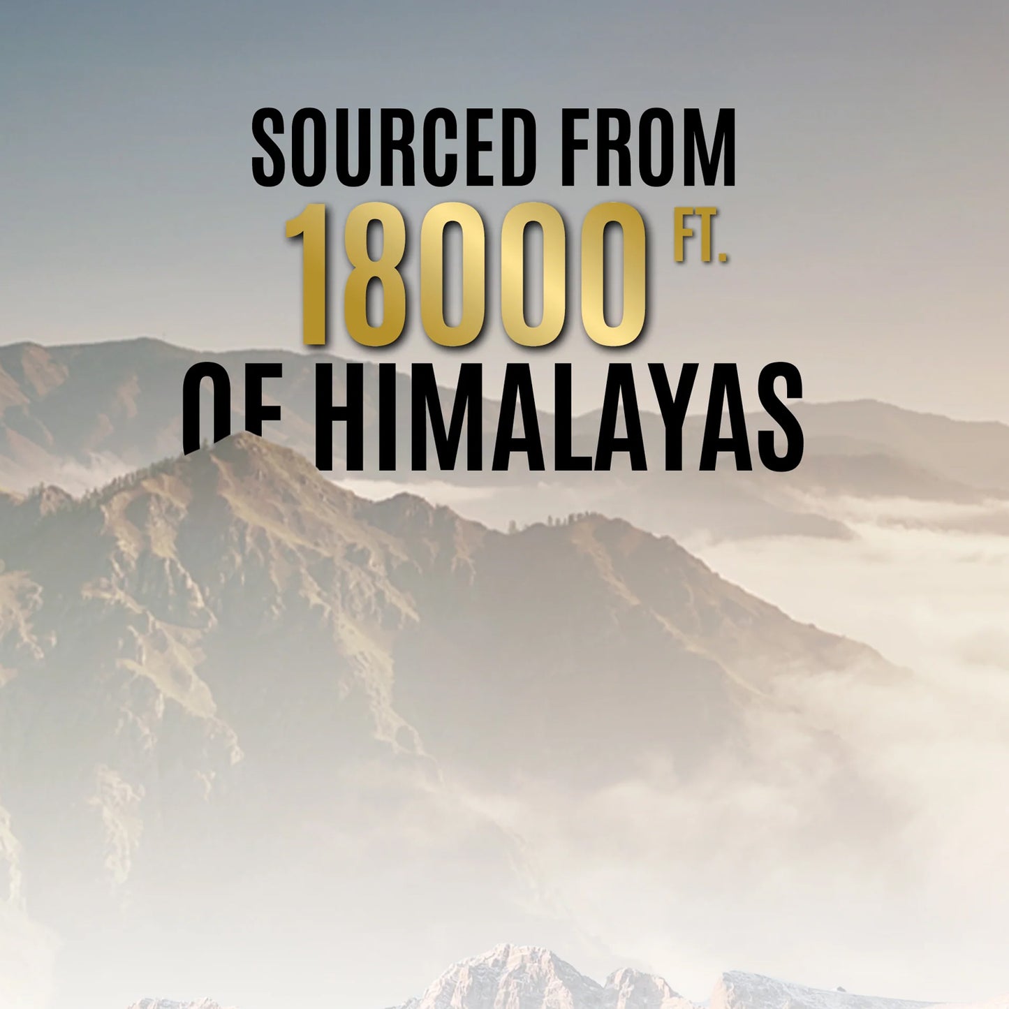 pure himalayan shilajit resin 20 gm pack of 1